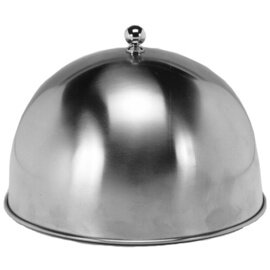 Haube Kunststoff Ø 110 H mm 300 Hauben mit Tortenplatte | mm 2 mm H Edelstahl 70 APS Platte