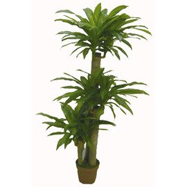 Deko-Kunstpflanzen, Drachenbaum, naturgetreu, echtwirkend, ohne Übertopf, Höhe: 135 cm Produktbild