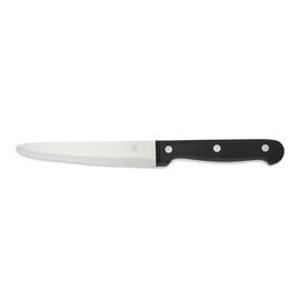 Steakmesser Edelstahl | POM Klingenlänge 130 mm L 250 mm runde Spitze Produktbild