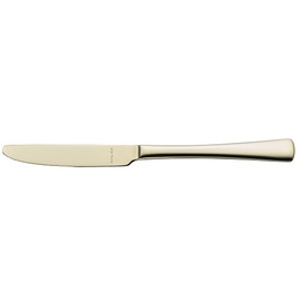 Menümesser KARINA RETRO Champagner Vollheft L 224 mm Produktbild