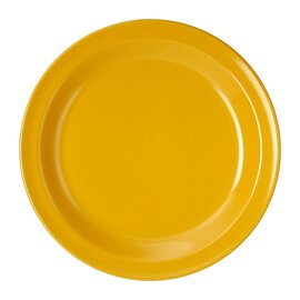 Dessertteller Melamin gelb  Ø 195 mm | Mehrweg Produktbild