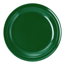 Teller Melamin grün  Ø 235 mm | Mehrweg Produktbild