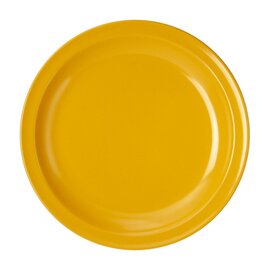 Teller Melamin gelb  Ø 235 mm | Mehrweg Produktbild
