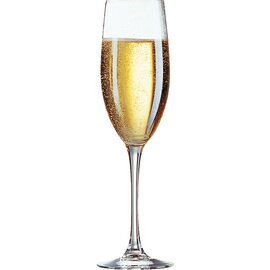 Sektkelch CABERNET C&S Grand Champagne 24 cl H 235 mm Produktbild