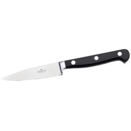 Spickmesser | Officemesser glatter Schliff  | Griff vernietet | verschweißt Klingenlänge 8,5 cm  L 19 cm Produktbild