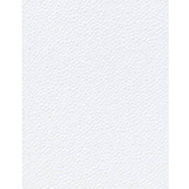 Spender-Servietten 1-lagig weiß 36 x 300 Stück Produktbild