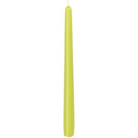 Leuchterkerzen kiwi  Ø 22 mm  H 250 mm | Brenndauer 7 Stunden Produktbild