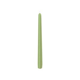 Leuchterkerzen grün  Ø 22 mm  H 250 mm | Brenndauer 7 Stunden Produktbild 0 L