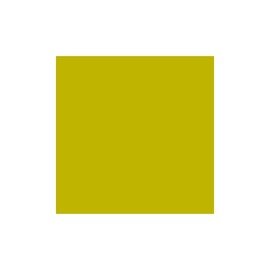 Servietten DUNISOFT kiwigrün 200 mm x 200 mm Produktbild