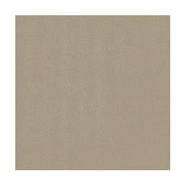 Cocktailservietten BIO DUNISOFT® greige 200 mm x 200 mm Produktbild