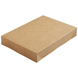 Deckel für Viking Brick Box, 1100 ml, 1 x 300 Stück Produktbild
