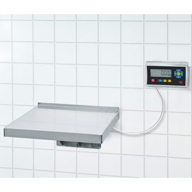 Wandwaage TerrexL-150+STAN07 eichfähig digital Wiegebereich 150 kg Unterteilung 50 g Produktbild