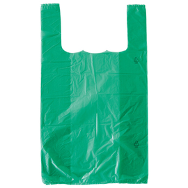 Hemdchentragetaschen Polyethylen Seitenfalte 18 cm grün B 300 mm H 550 mm Produktbild