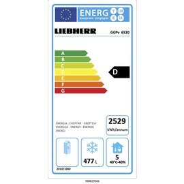 Gefriergerät GGPv 6520 597 ltr | Umluftkühlung Produktbild 1 S