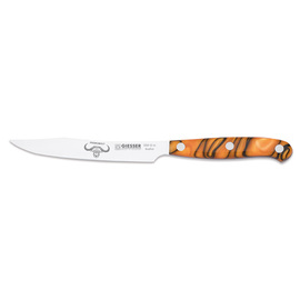 Steakmesser PREMIUMCUT Steak No 1 Spicy Orange | Klingenlänge 12 cm Produktbild