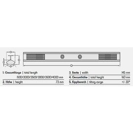 Infrarotheizstrahler 2800 Licht-Wärme mit Einbaustrahlern anthrazit zur Wand- | Deckenmontage 2,8 kW  L 2500 mm Produktbild 1 S