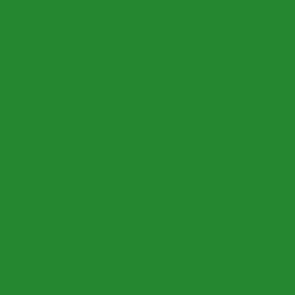 PB-ED-C_grün Deckel, HDPE, grün, 600 x 400 mm, lose, ohne Scharnier, Gewicht 900 g Produktbild