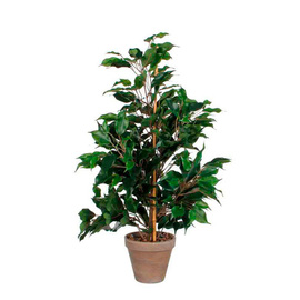 Kunstpflanze Ficus Exotica mit Übertopf H 650 mm Produktbild