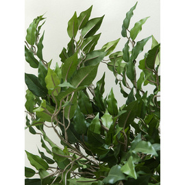 Kunstpflanze Ficus Benjamina H 2100 mm Produktbild 1 S