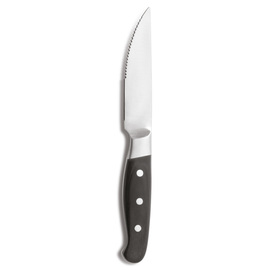 Steakmesser ACONCAGUA  L 258 mm Produktbild