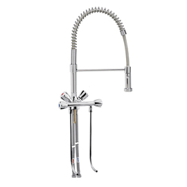 Spültheken-Einlochbatterie 1/2" Ausladung 250 mm | Auslaufhöhe 100 mm | 2 Ventilabgänge vorne Produktbild